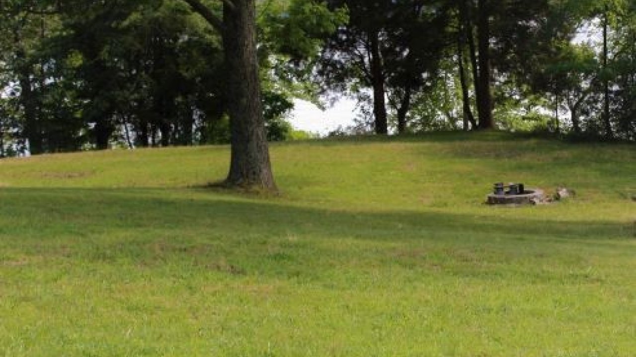 Grassy field with a single tree and a stone fire pit.