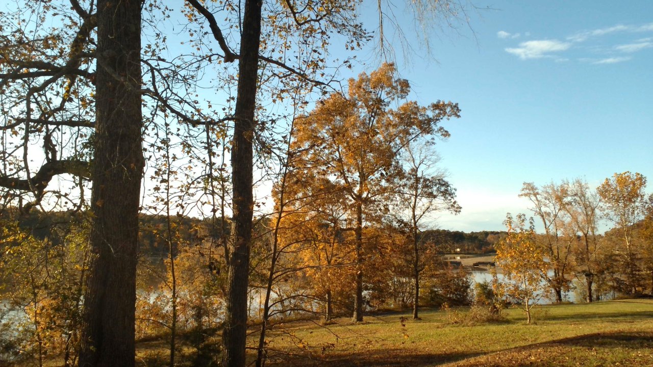 Autumn trees by a lakeside under a clear blue sky.