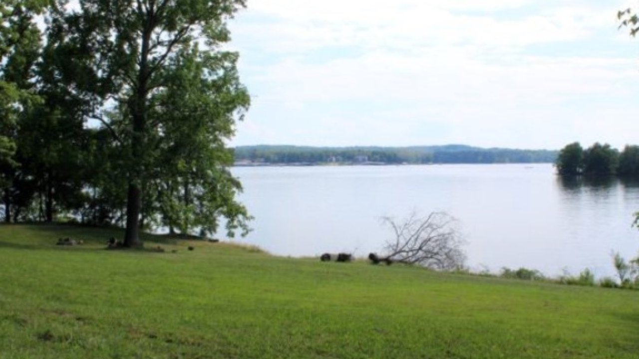 Lakeside view with grassy lawn and trees under a cloudy sky.
