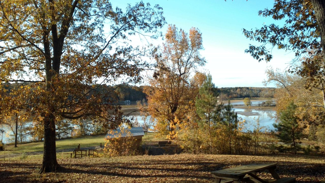 Autumn trees by a lake under a clear blue sky.