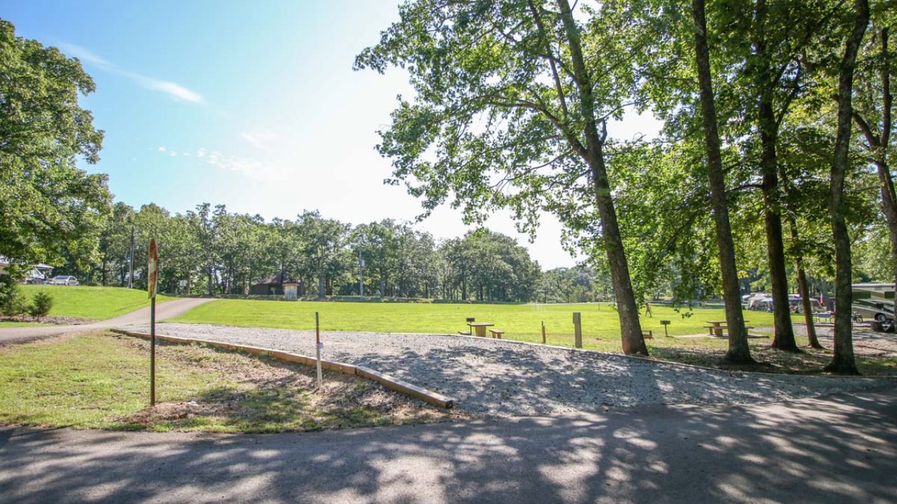 Sunny park with trees and a grassy field under a blue sky.