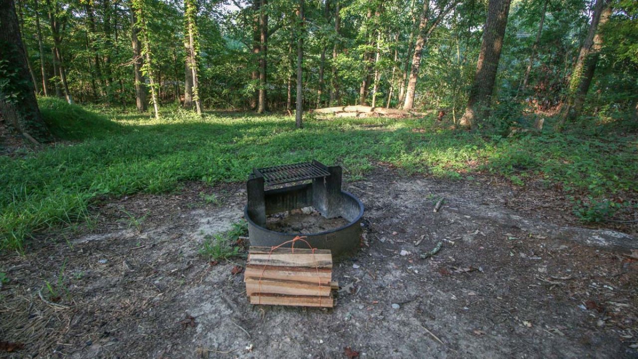 Fire ring and logs in a forest clearing.