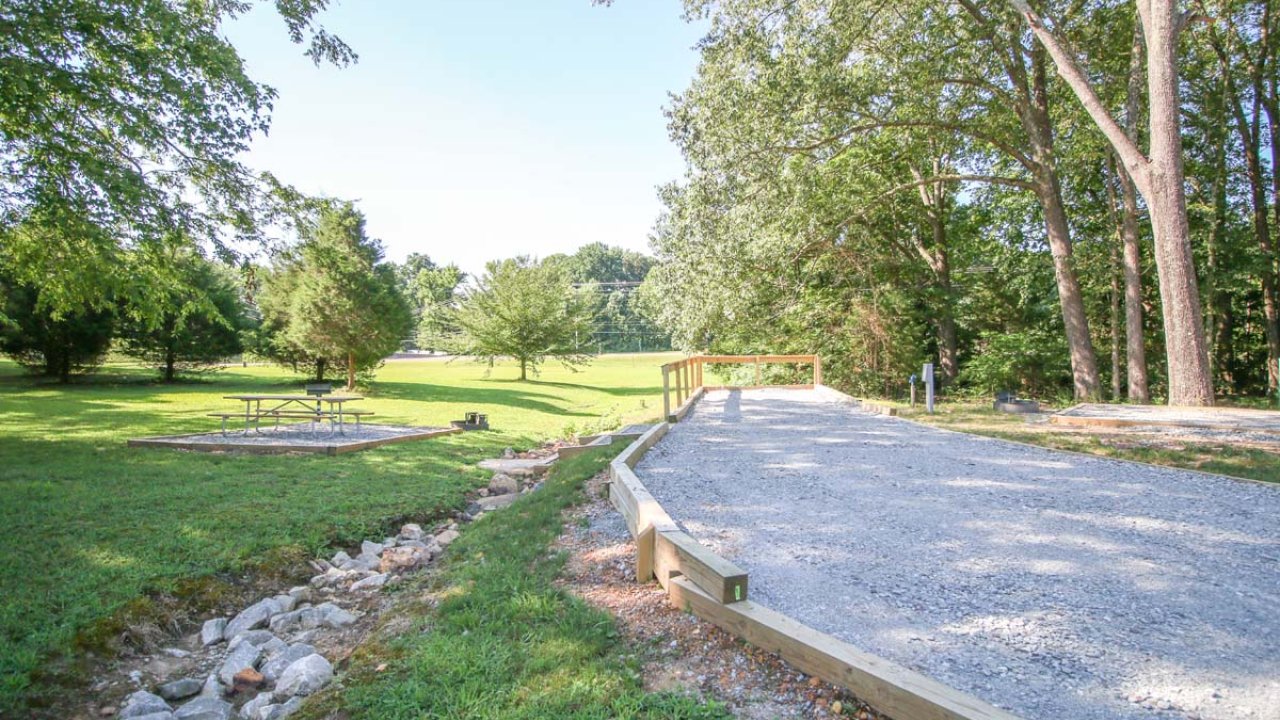 Gravel path in a sunny park with trees and green grass.