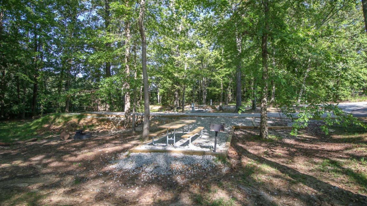 Forest setting with a small fenced area and headstones.