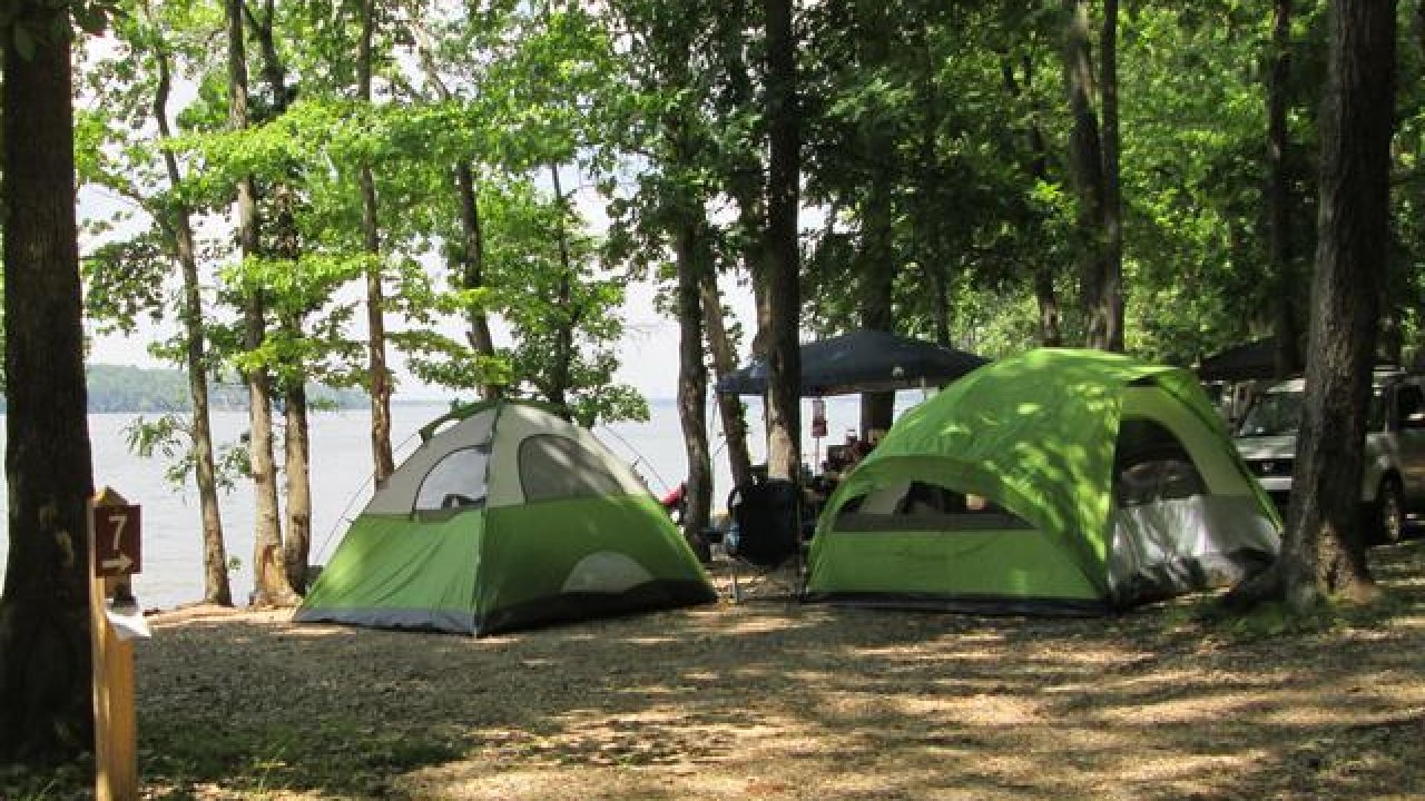 Tents set up in a wooded campsite by a lake.