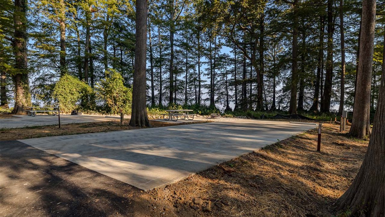 Concrete slab surrounded by tall trees in a wooded area.