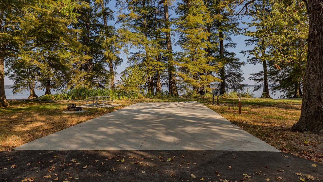 Concrete pad in a forest surrounded by tall trees under a clear blue sky.