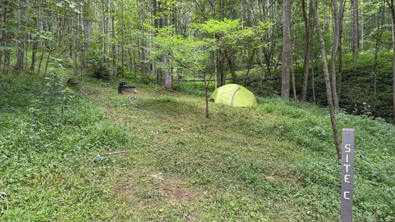 Green tent in a forested campsite with trees and grass.
