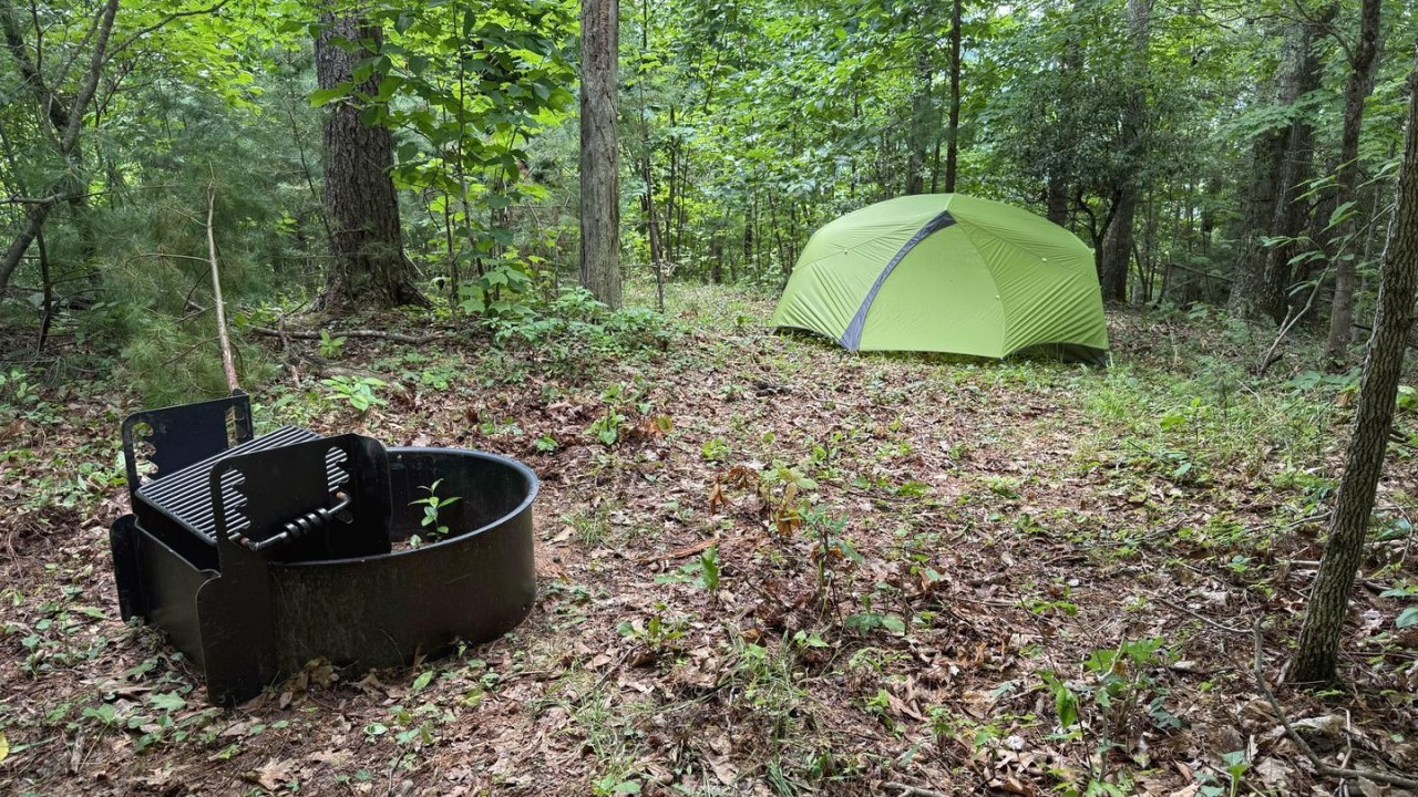 Green tent in a wooded campsite near a fire pit.