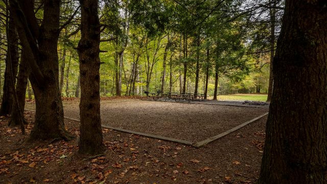 Forest clearing with fenced dirt area surrounded by trees.