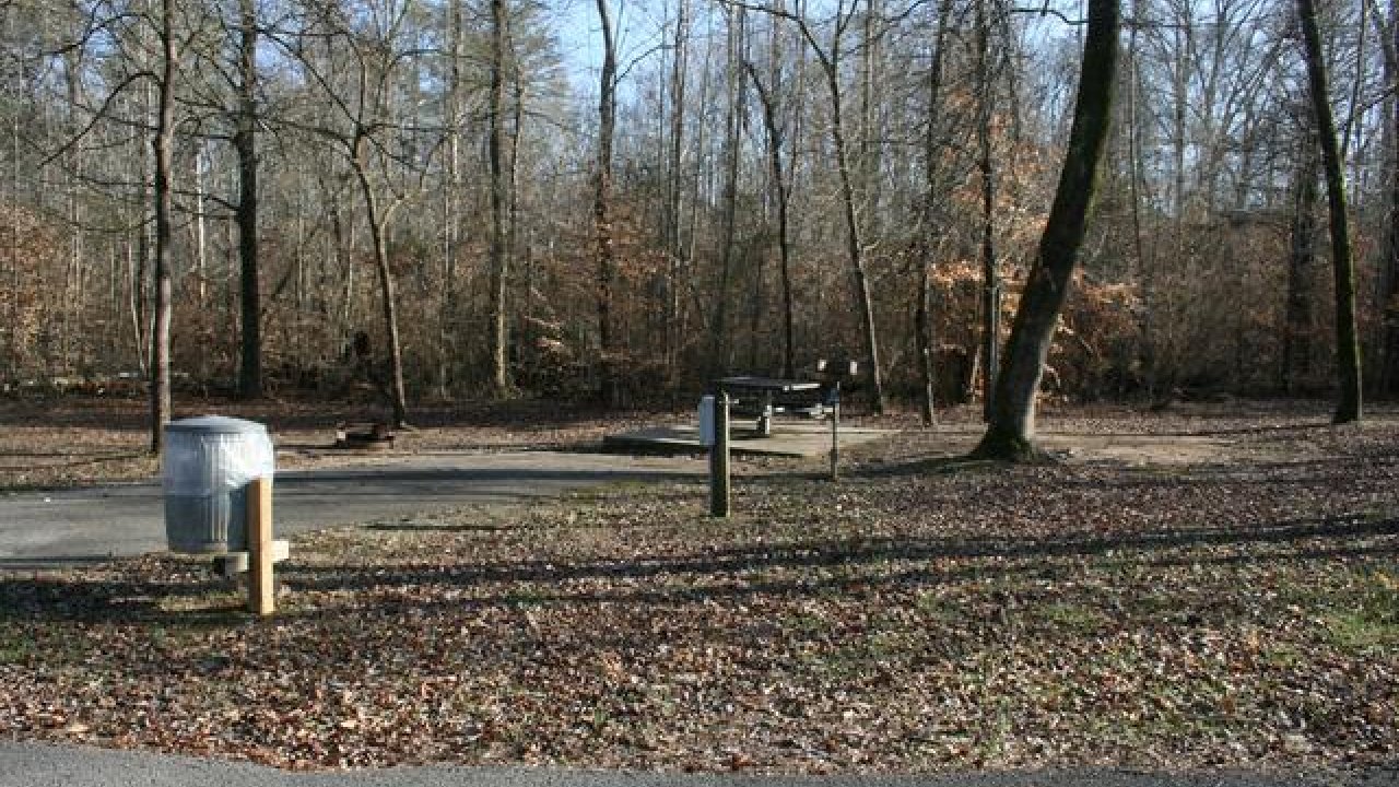 Forest trail with bare trees, a trash can, and a wooden bench in the distance.