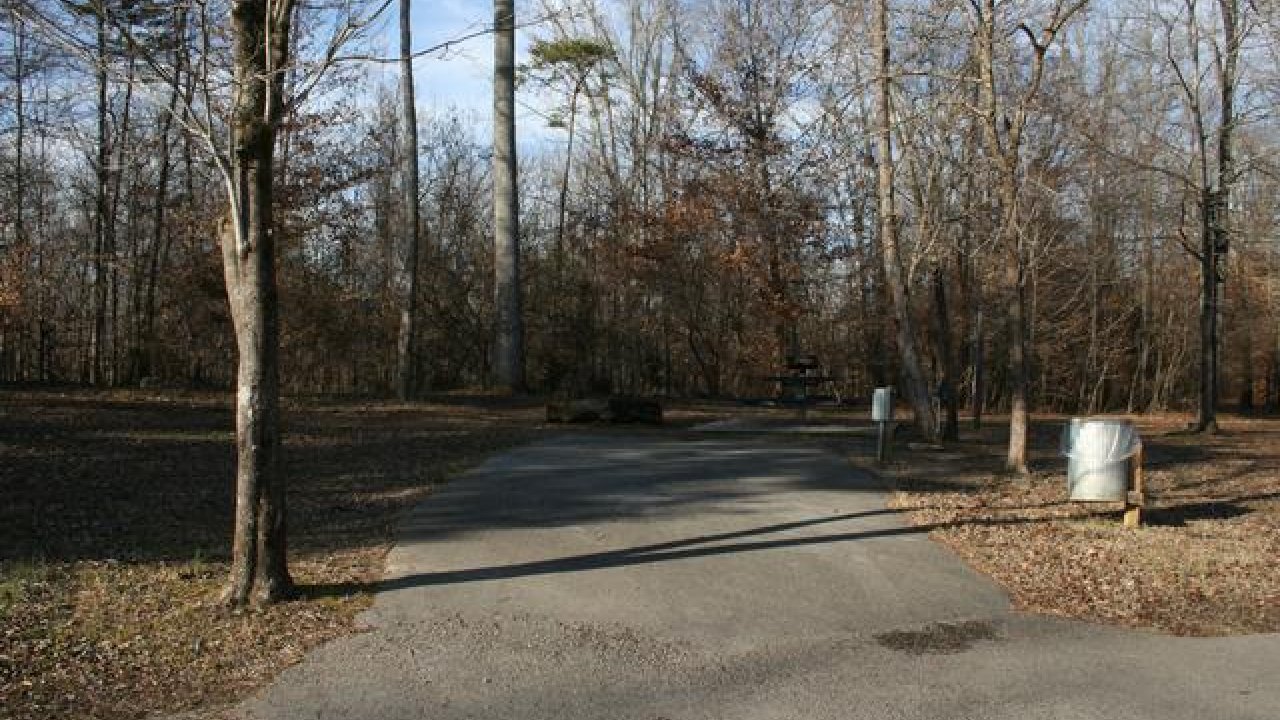 Path through a wooded area with bare trees and scattered leaves.
