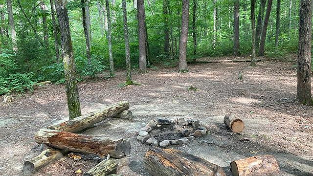 Logs arranged around a campfire ring in a forest clearing.