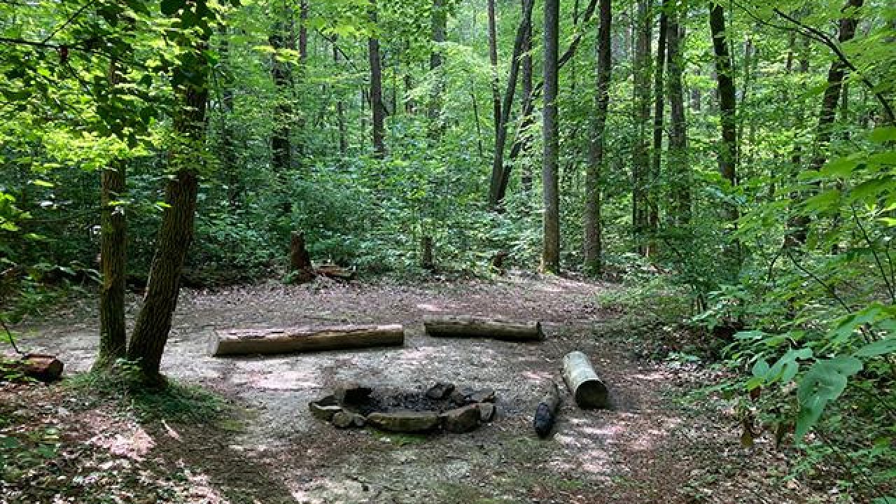 Forest campsite with fire pit and wooden benches surrounded by trees.