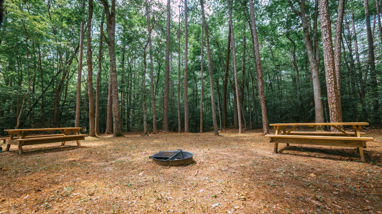 Forest picnic area with two wooden tables and a central fire pit.