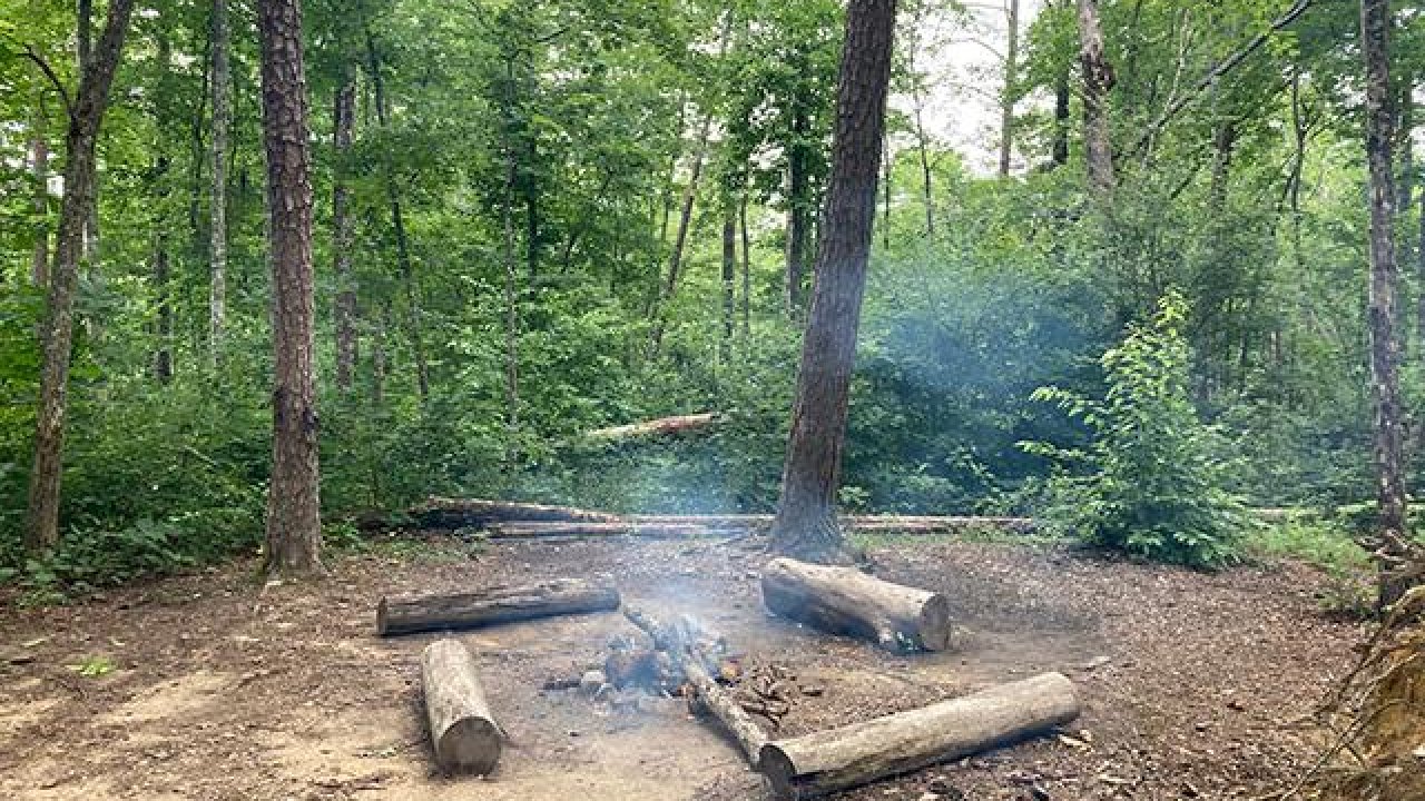 Campfire site with smoking embers and log benches in a forest.