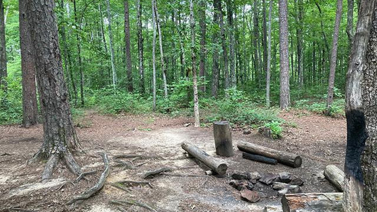 Camping area in a forest with a fire pit and log benches.