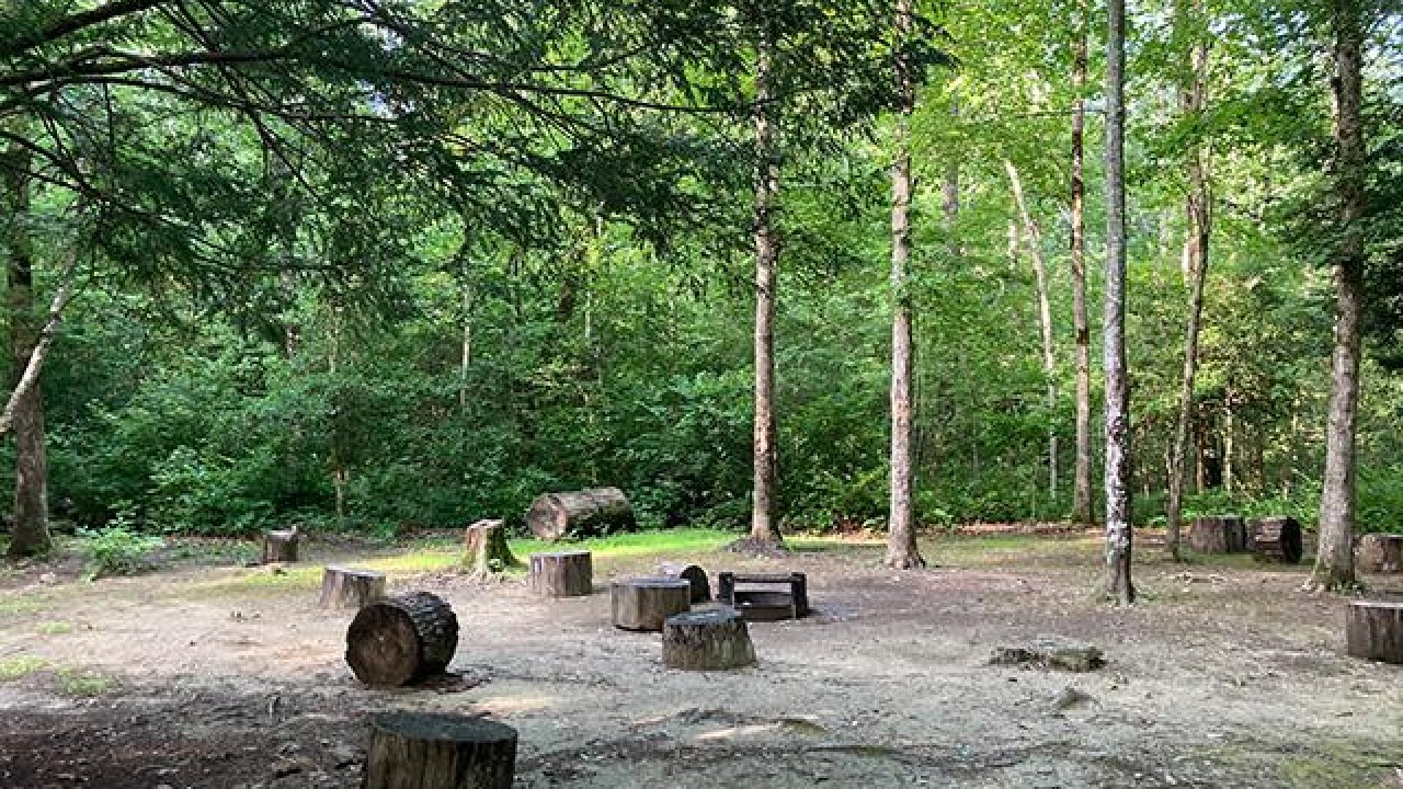Wooded campground with tree stump seats and a fire pit.