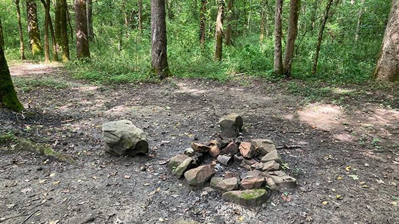 Small campfire setup with rocks in a forest clearing.