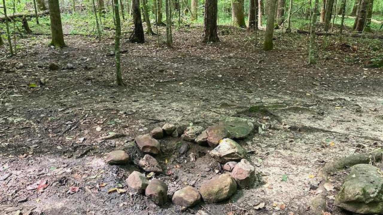 Rock fire pit in a lush forest clearing.
