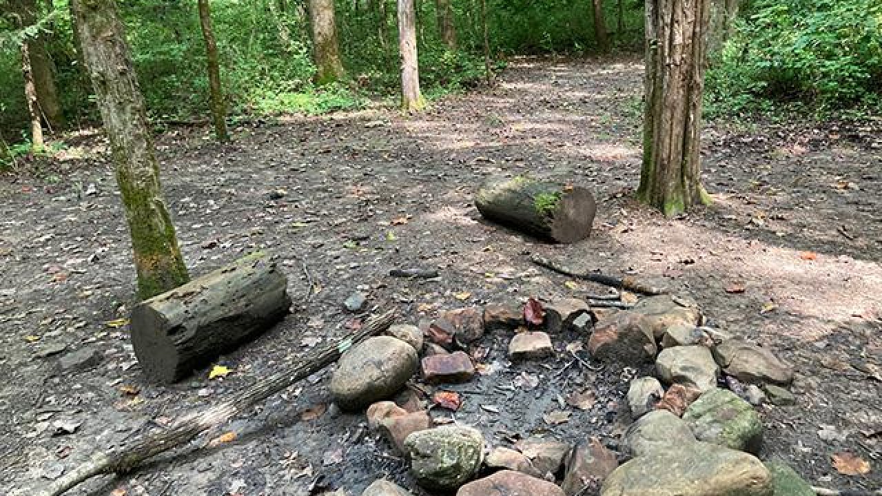 Campsite with a fire pit and benches in a forest clearing.