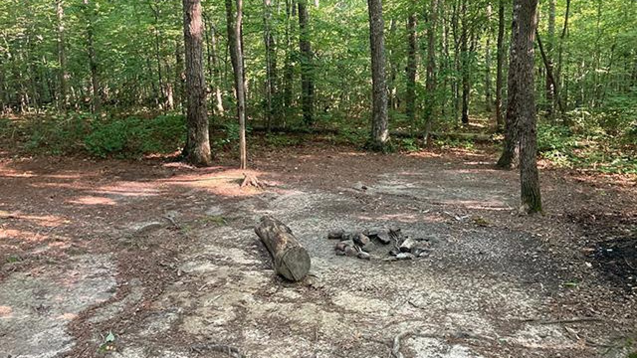 Forest clearing with a small campfire pit and scattered rocks.
