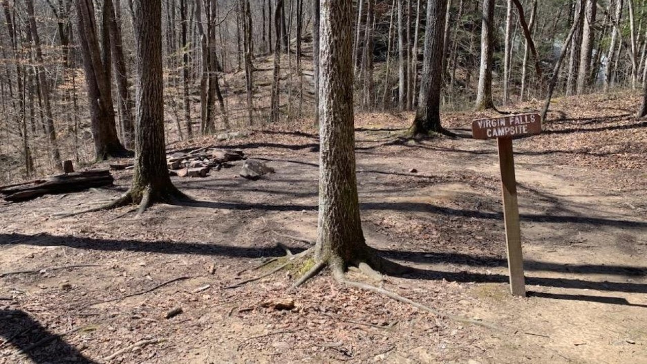 Sunlit forest trail with a path diverging near a wooden signpost.