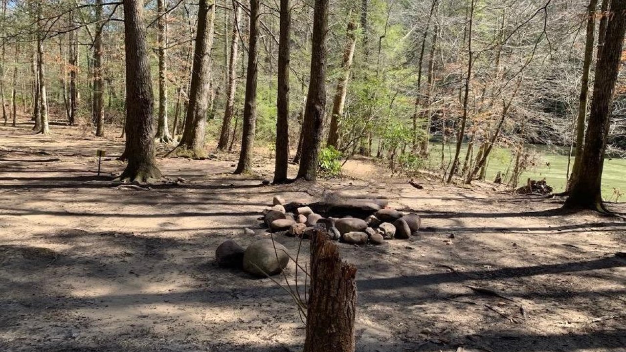 Sunny forest clearing with a small fire pit and stump.