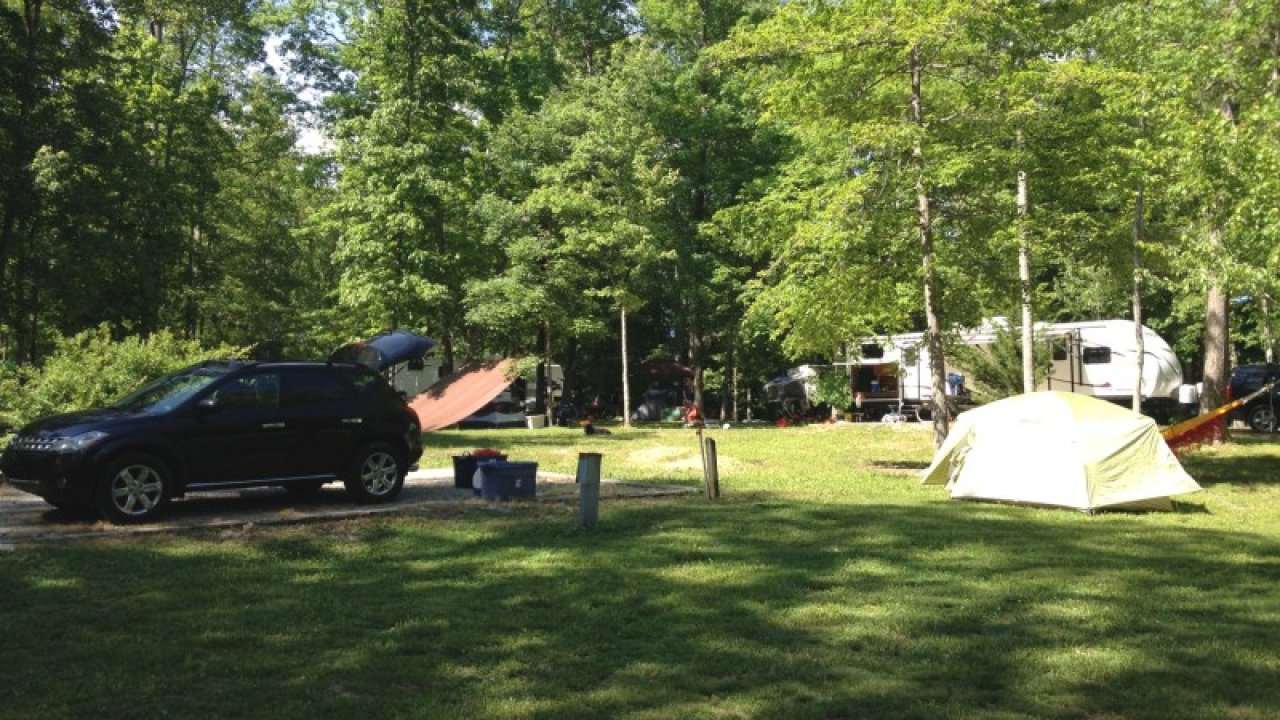 Car and tent at a sunny forest campground.