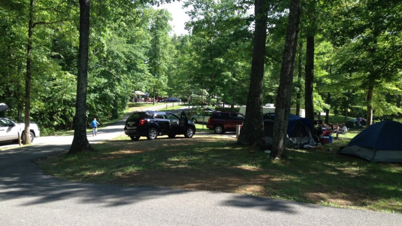Campground with tents, cars, and lush trees on a sunny day.