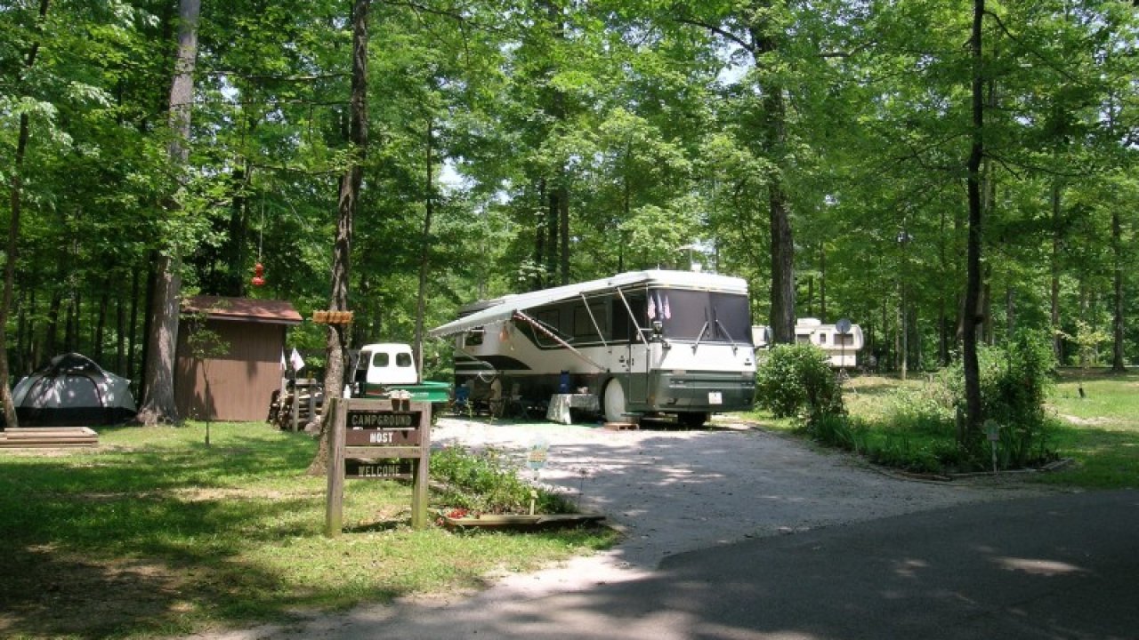 RV parked in a shaded campsite surrounded by lush trees.
