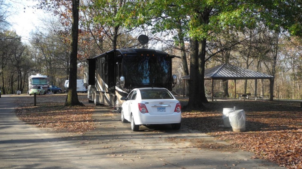 RV and car parked on a leaf-covered road near a forest.