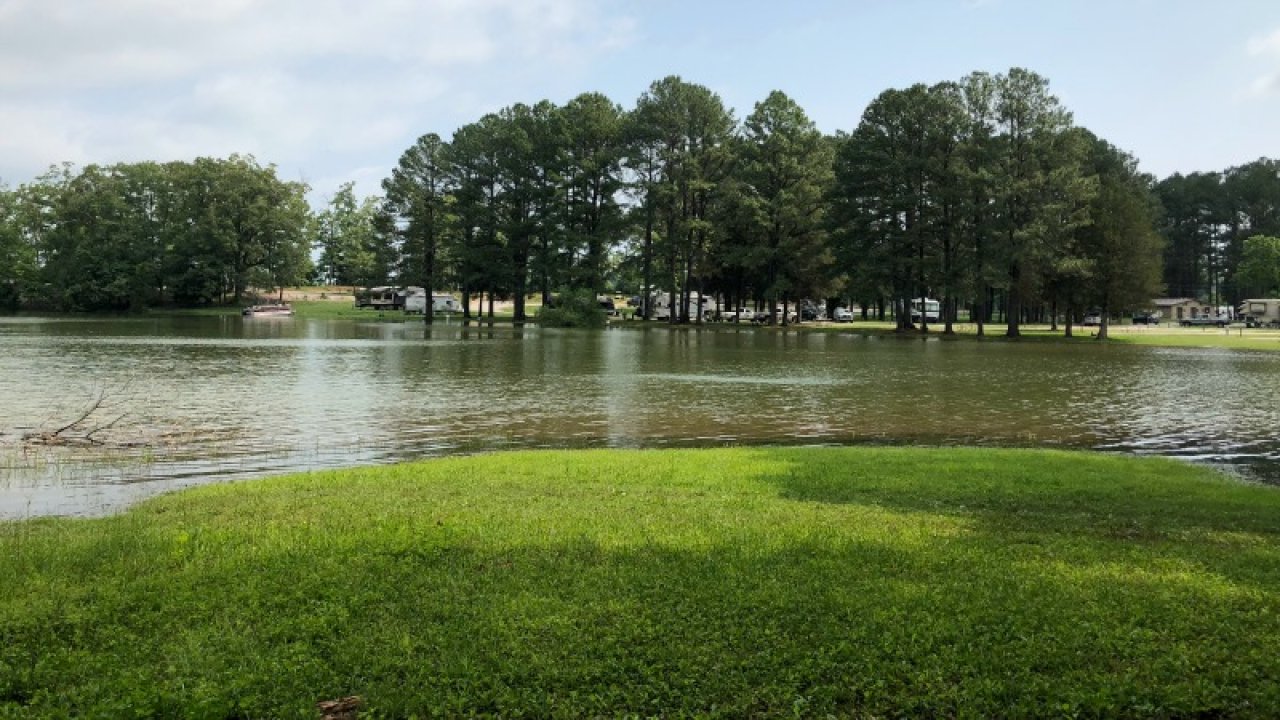 Lush green park with a flooded grassy area and trees in the background.
