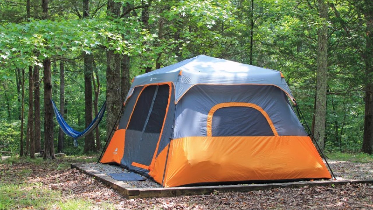 Gray and orange tent set up in a lush forest.