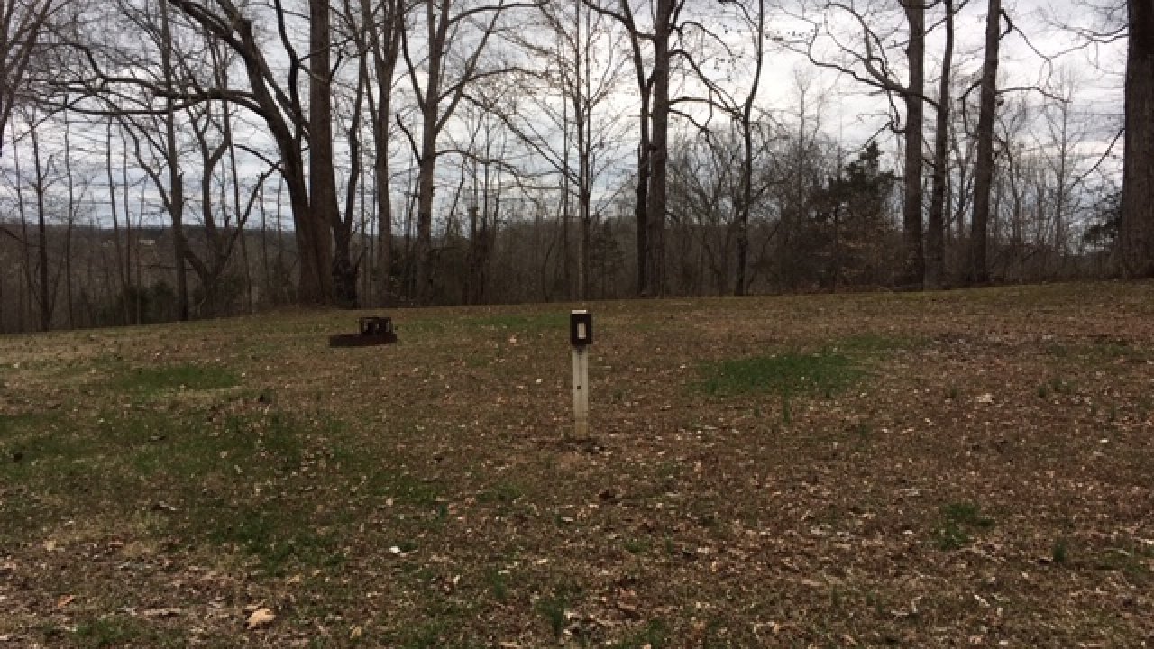 Barren park landscape with a solitary signpost amidst leafless trees.