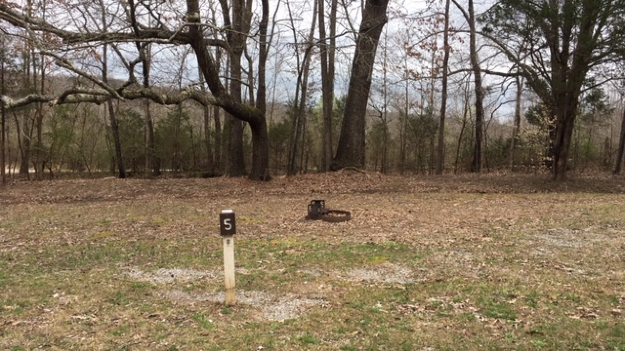 Duck resting on grass by a mailbox post in a woodland park.