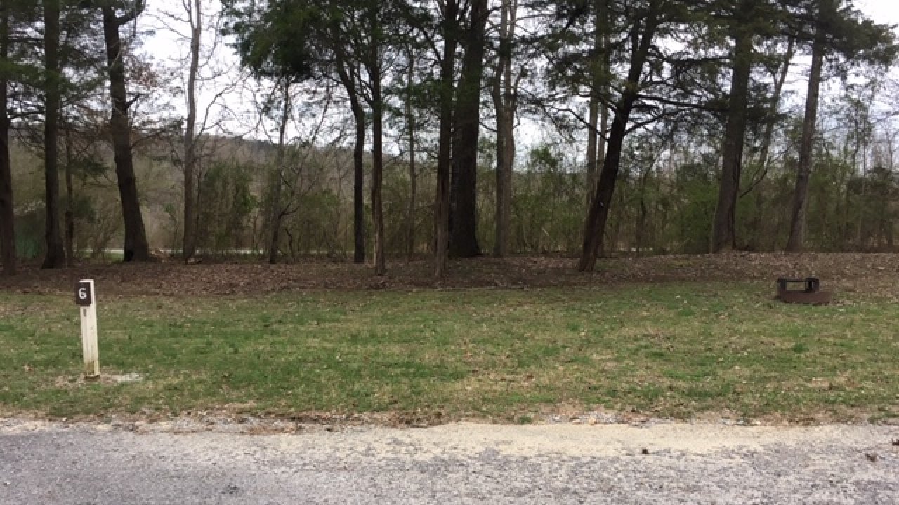Rural roadside with a mailbox, bench, and dense trees under an overcast sky.