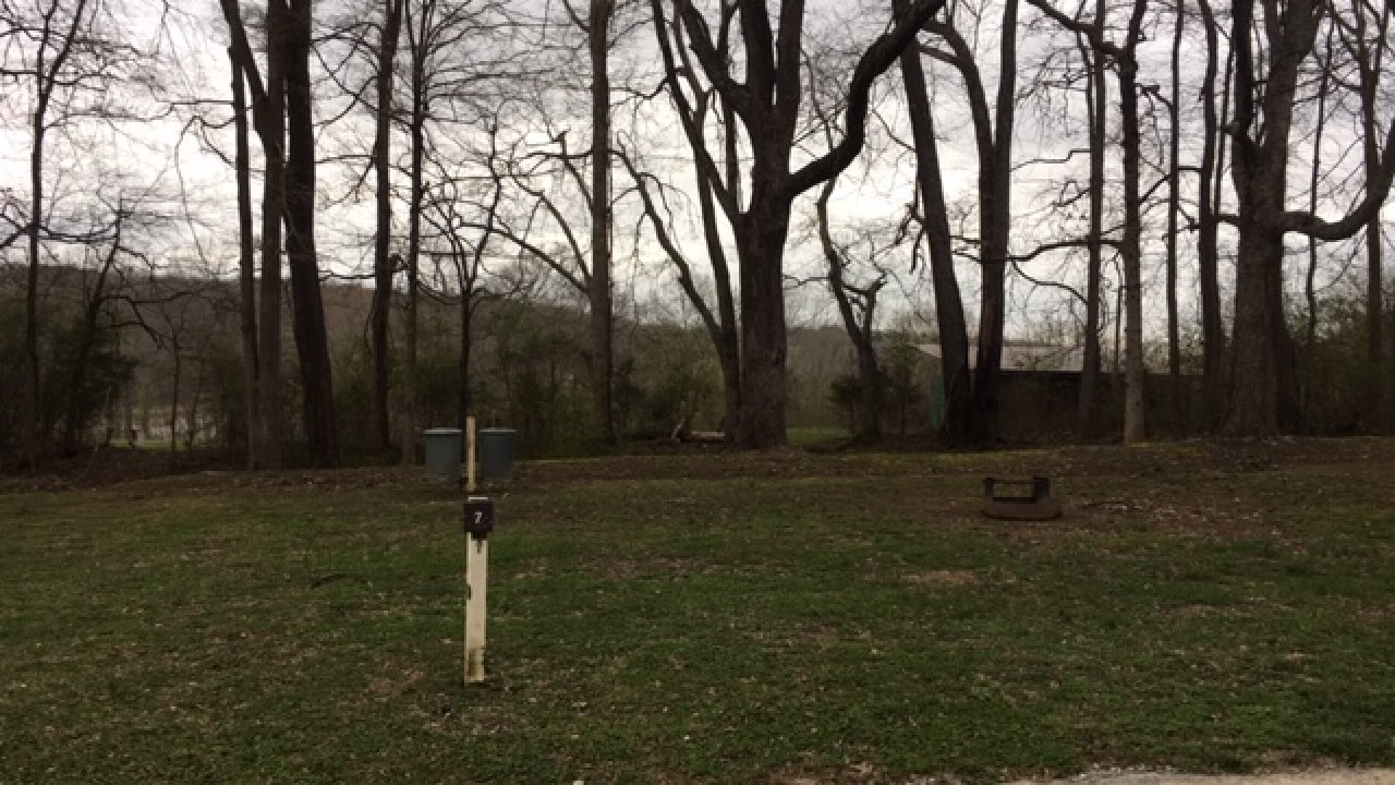 Rural roadside with mailbox, bare trees, and a distant river view.