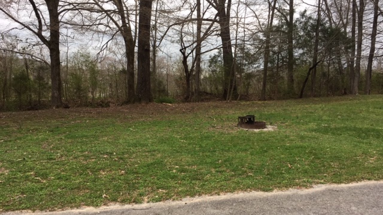Barbecue grill in a grassy park with bare trees and gray sky.