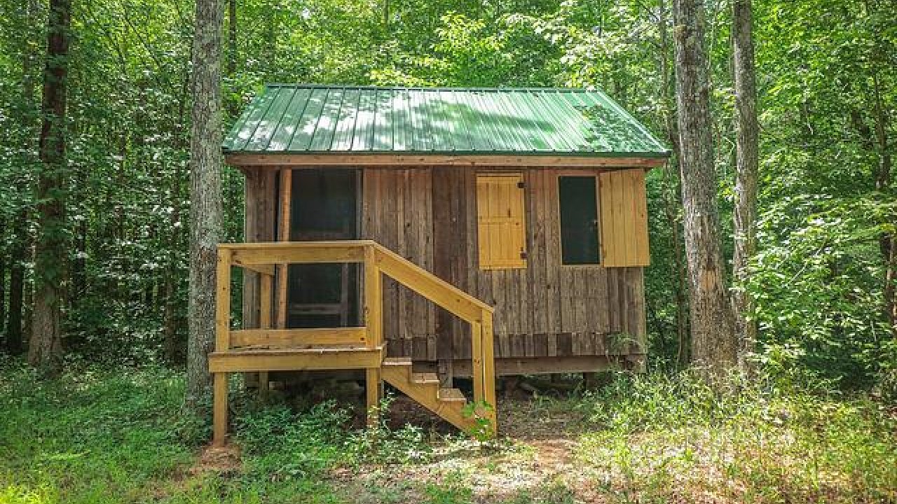 Small wooden cabin surrounded by lush green forest.