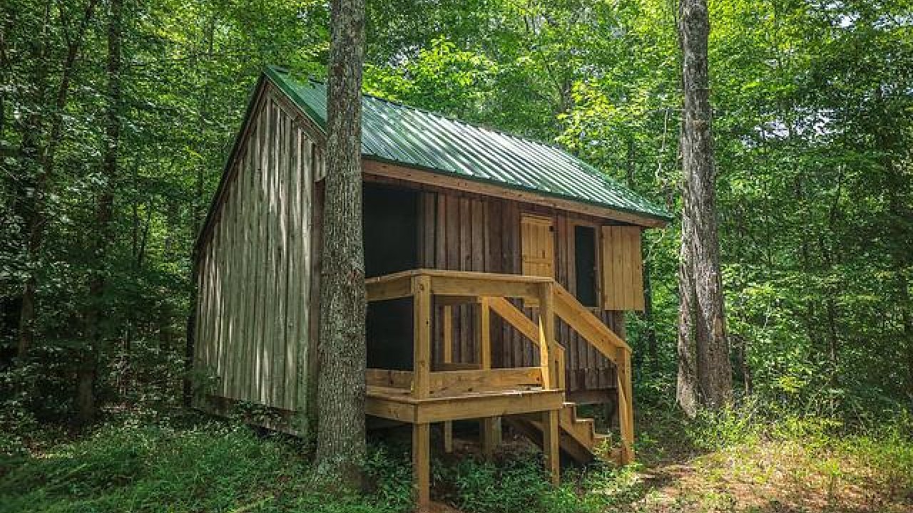 Small wooden cabin surrounded by lush green forest.