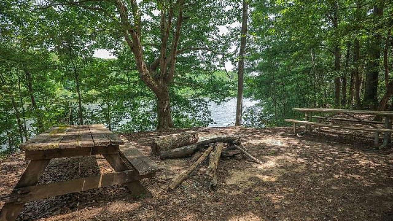 Secluded picnic area by a lake with wooden benches and green trees.