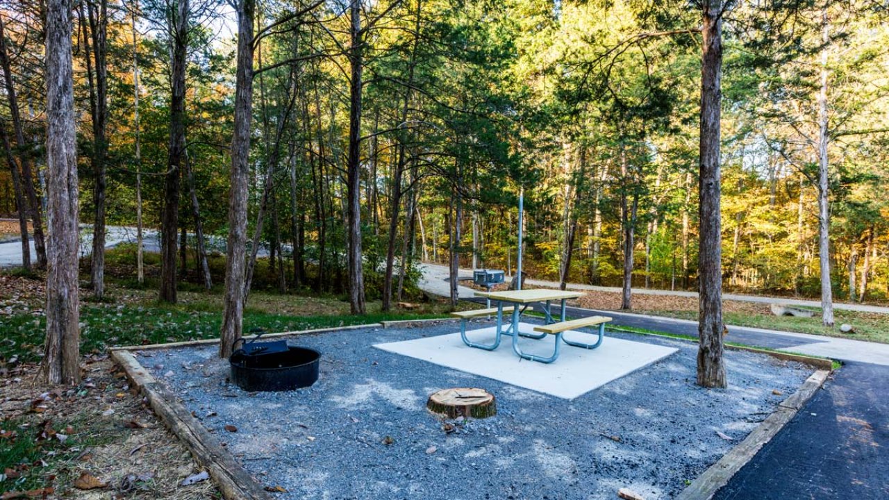 Campsite with fire pit, picnic table, and surrounding trees in daylight.