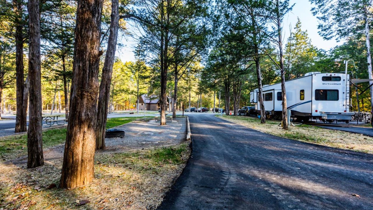 RVs parked along a tree-lined road in a sunny forest campground.