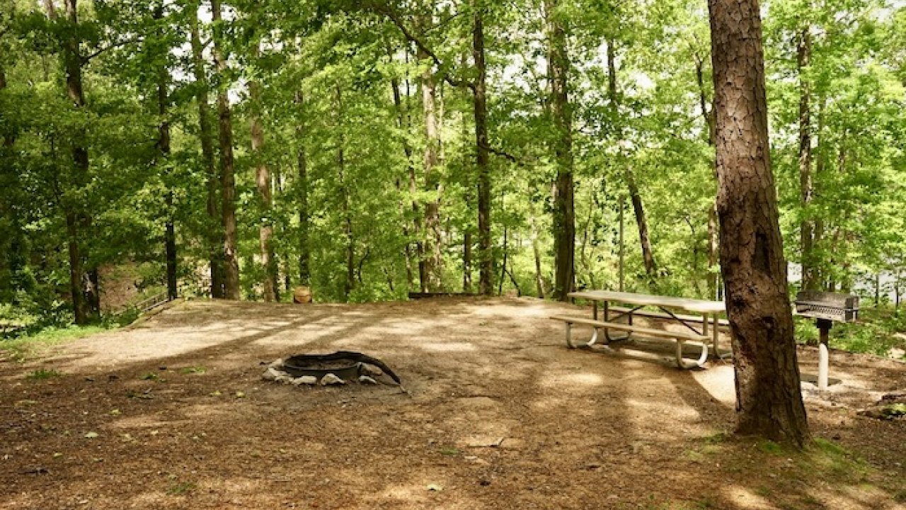 Forest campsite with picnic table, fire pit, and lush green trees.