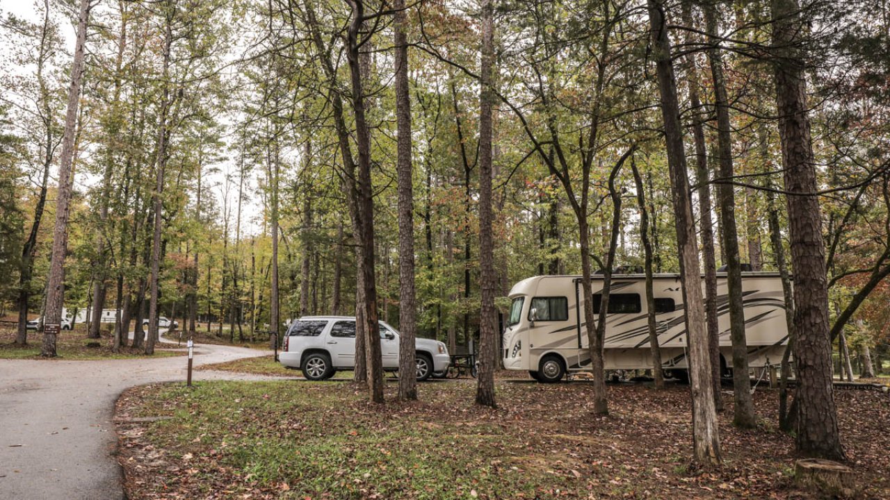 RV and truck parked among tall trees in a forest campground during autumn.
