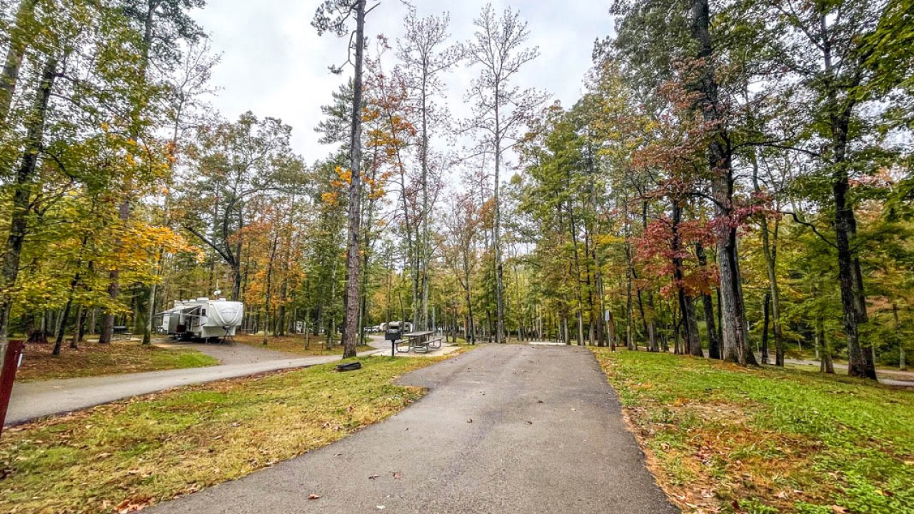 Autumn campground with traversing road and RV in forest.