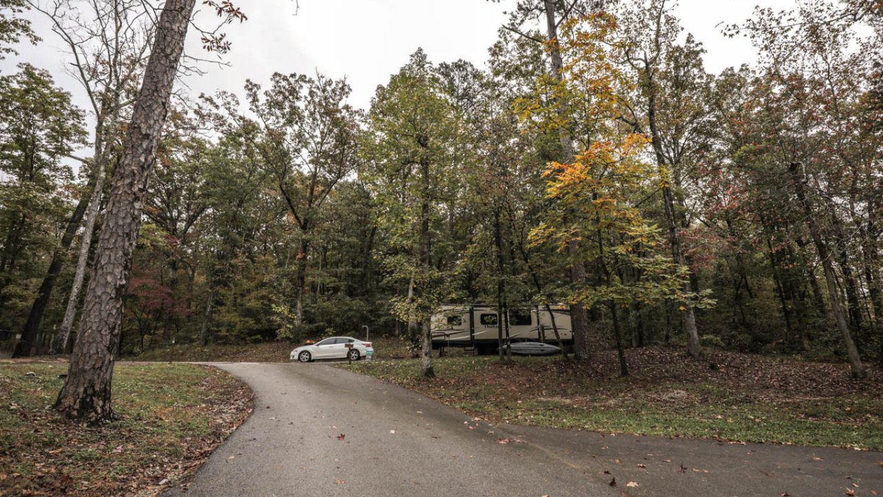 Curved driveway in a forested area with sparse fall foliage and parked vehicles.