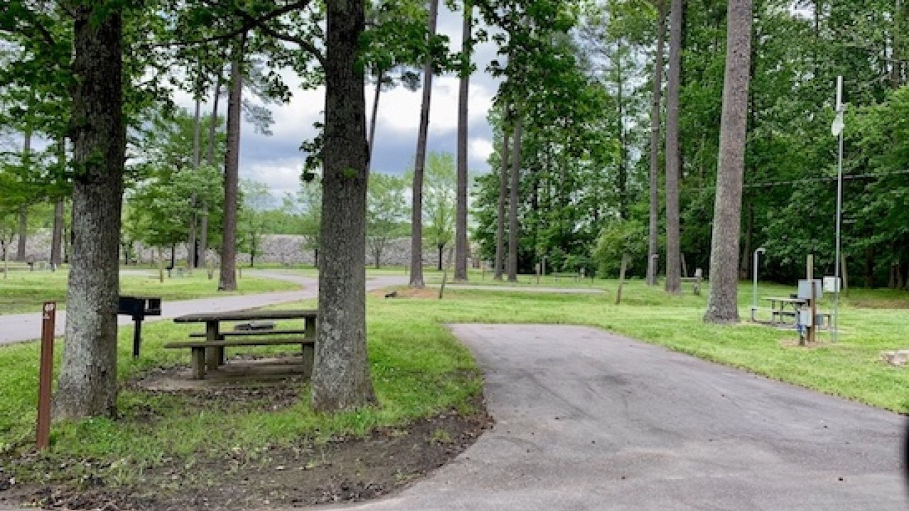 Curved pathway and picnic table in a lush green park.