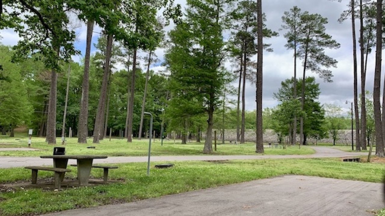 Empty park with picnic tables, trees, and paved path.